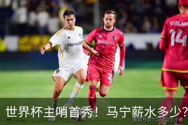 世界杯主哨首秀！马宁薪水多少？主裁判5万美元+单场奖金2000美元